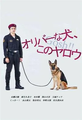 奥莉佛是狗,(天哪!!)这家伙