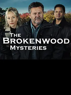 断林镇谜案第十二季