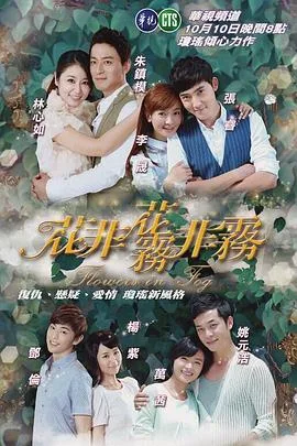 花非花雾非雾第二部