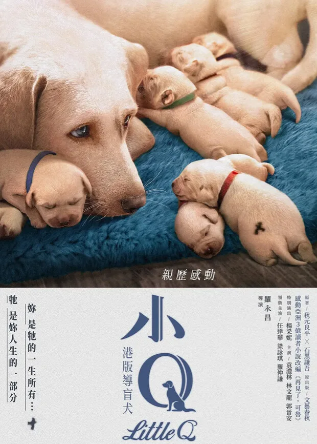 小Q粤语