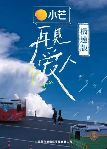 再见爱人 极速版