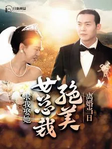 离婚当日,绝美女总裁求我娶她