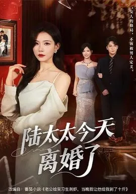 陆太太今天离婚了