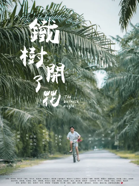 铁树开了花