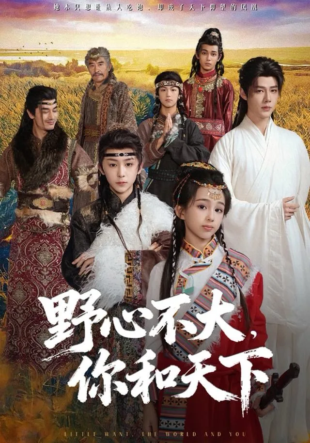 野心不大,你和天下